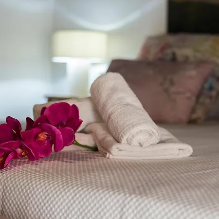 Duplex Corceles Casa Palacio